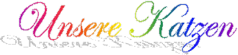 Unsere Katzen